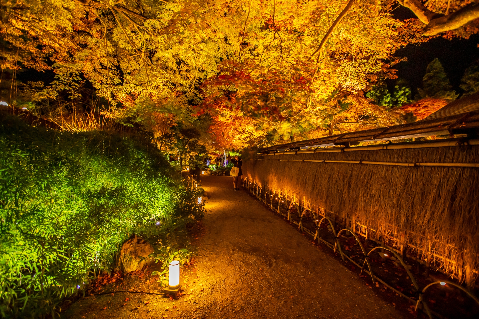 Hogonin Night Illumination